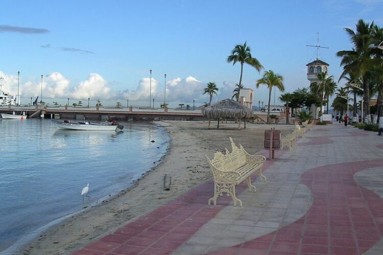 Imagen Carrusel