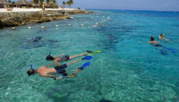 Reiniciará AA servicio sin escalas de Cozumel a Miami