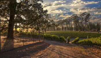 Auberge Resorts presenta nueva marca: Vievage