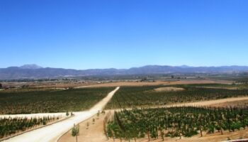 Fiestas de la Vendimia en Baja California, a prueba