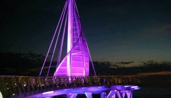 Una visión favorable para Puerto Vallarta