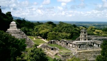 Alerta sobre virus Chikungunya en México