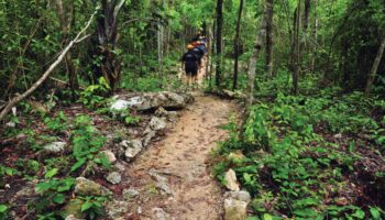 Proyectos turísticos de naturaleza reciben inversión de 250 mdp