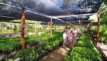 Hoteles sustentables, tendencia a favor del medio ambiente