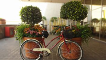 Brindarán servicio de bicicletas gratuitas