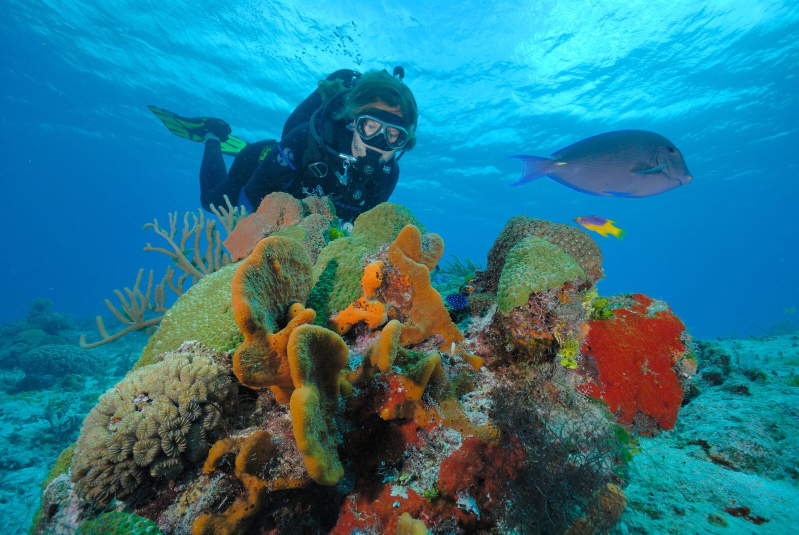 Santuarios de vida silvestre, exploración a las reservas naturales de Quintana Roo