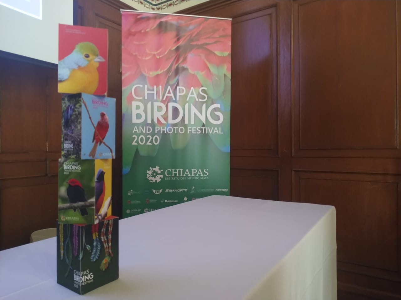 Chiapas celebrará primer Birding and Photo Festival