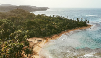 Continúan 60 turistas extranjeros varados en Panamá