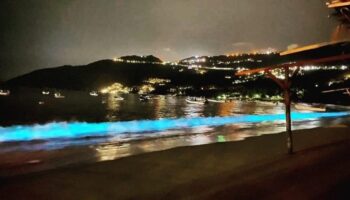 Sorprende bioluminiscencia en Puerto de Acapulco