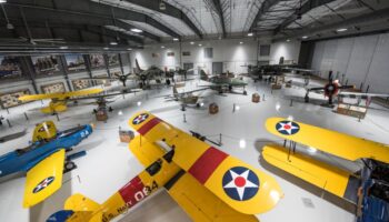 Conoce Houston con sus experiencias en línea
