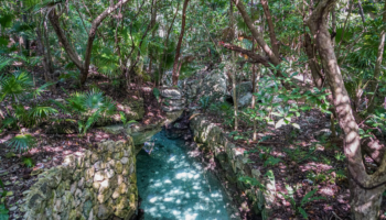 Xcaret abrirá sus parques el 1 de junio