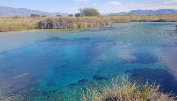 Rincones en México que necesitas conocer cuando volvamos viajar