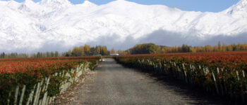 argentina mendoza1