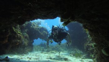 El Gran Arrecife Maya, paraíso para el buceo y el snorkel