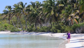 Conoce los atractivos de Isla Contoy