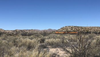 Tren conectaría Tampico con la Huasteca Potosina