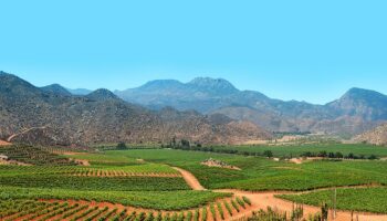 Valle de Guadalupe, entre las mejores regiones vinícolas de 2021