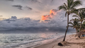 Tampico lanza app para reservar lugar en playas