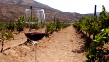 Querétaro anuncia el Festival del Queso y el Vino Tequisquiapan 2022