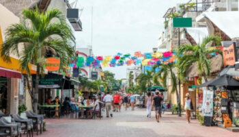 La naturaleza de Playa del Carmen