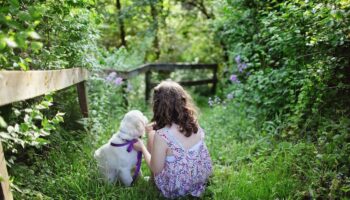 Destinos para disfrutar del invierno con tu mascota