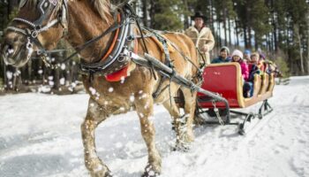 3 actividades por hacer en Nevada durante la temporada navideña