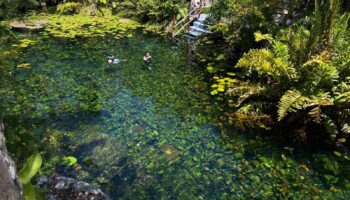 Una aventura subacuática en Cenote Dos Ojos