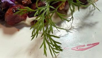 Don Sánchez, alta gastronomía mexicana en San José